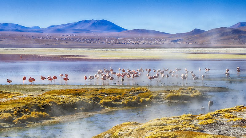 Eduardo Avaroa Andean Fauna National Reserve adventures