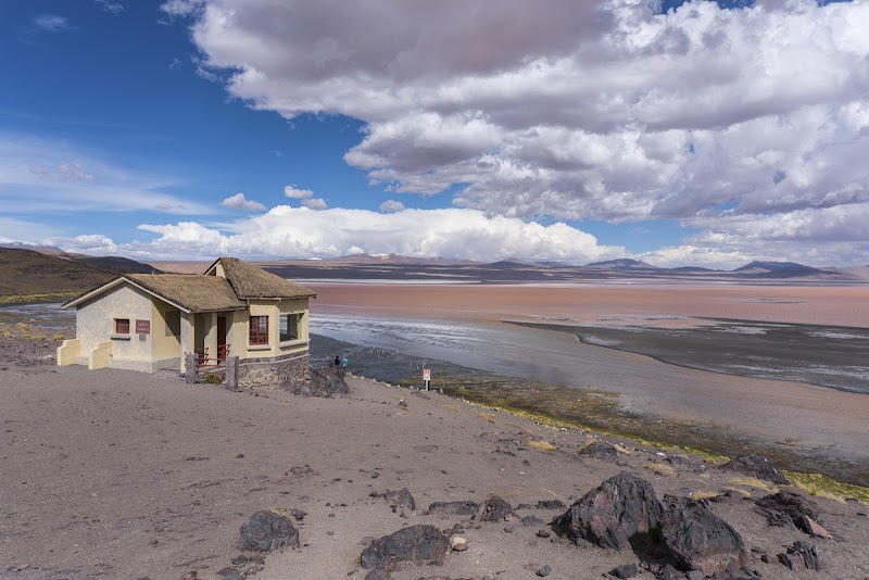 The Flamingo Haven: Laguna Colorada - Laguna Colorada