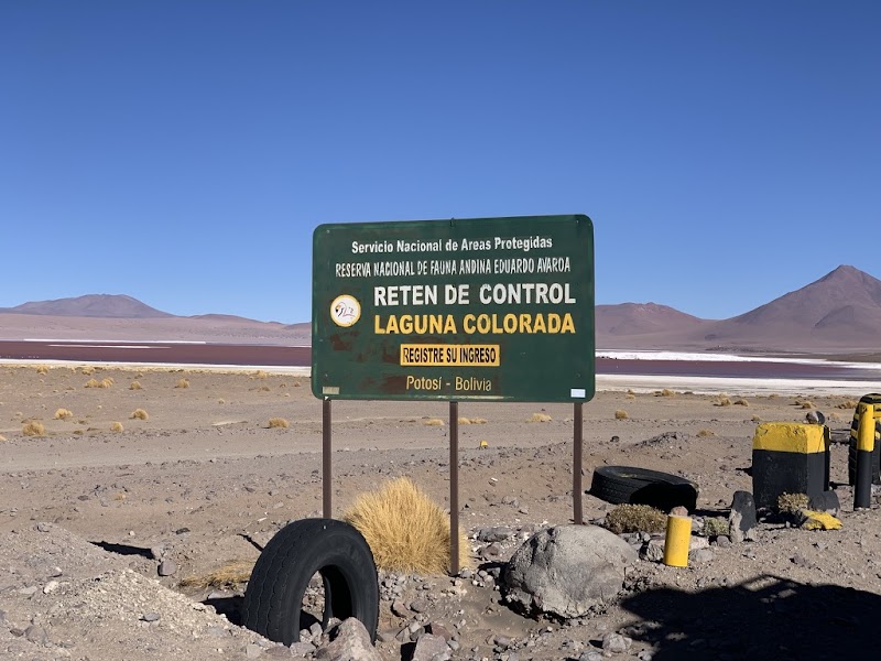 The Flamingo Haven: Laguna Colorada - Laguna Colorada