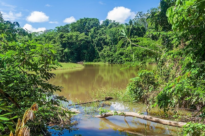 Wilderness Adventures in Parque Nacional Madidi - Parque Nacional Madidi