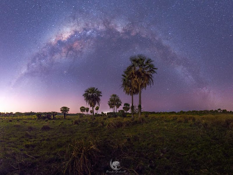 Wildlife Wonders of the Chaco Paraguayo - Chaco Paraguayo