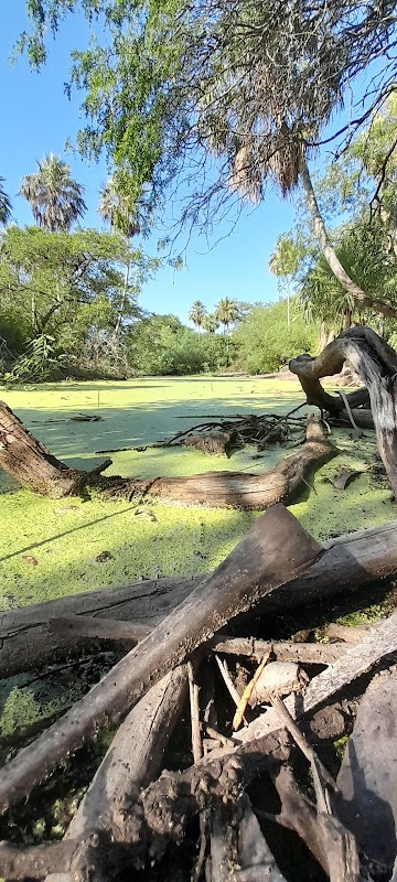 Wildlife Wonders of the Chaco Paraguayo - Chaco Paraguayo