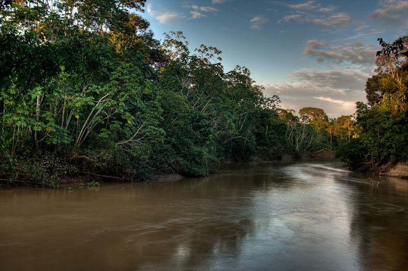 A Wilderness Haven in Parque Nacional Yasuní - Parque Nacional Yasuní