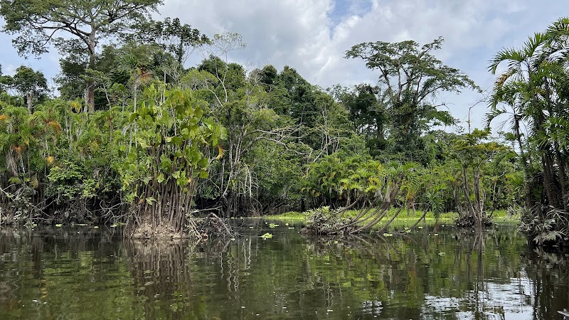A Wilderness Haven in Parque Nacional Yasuní - Parque Nacional Yasuní