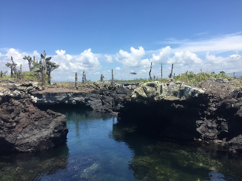 Wildlife Wonders of the Galápagos Islands - Galápagos Islands