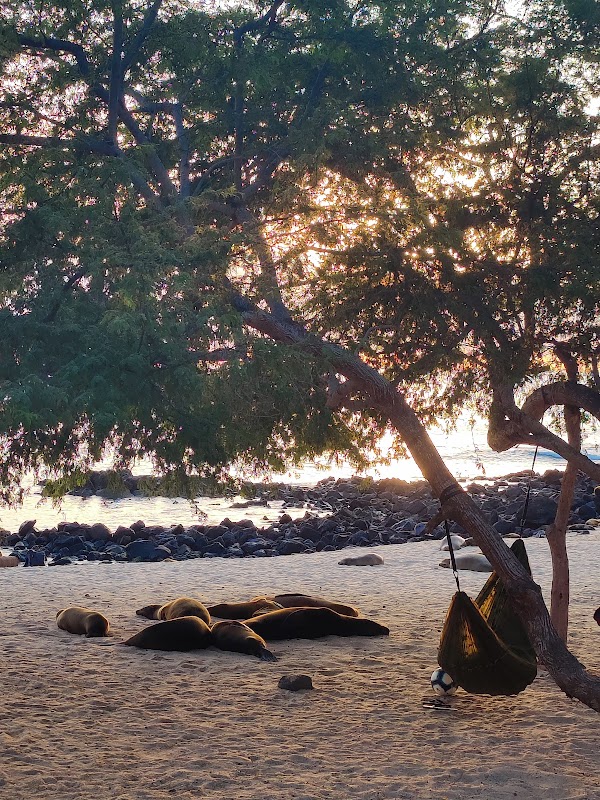 Puerto Villamil, Galápagos adventures