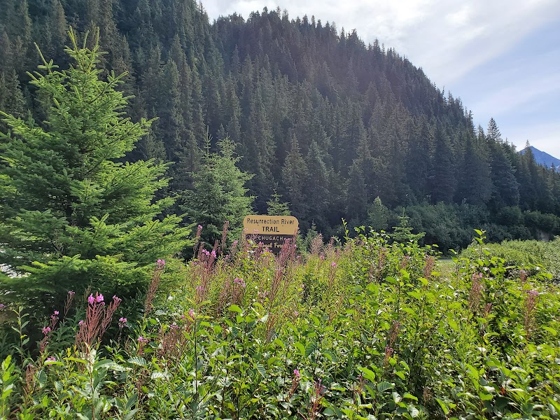 Majestic Wilderness: Resurrection River Trail - Resurrection River Trail