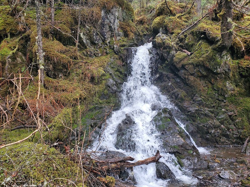 Majestic Wilderness: Resurrection River Trail - Resurrection River Trail