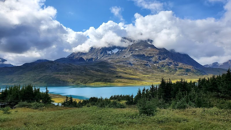 Nature's Marvel: Primrose Trail in Seward - Primrose Trail
