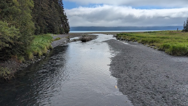 Alaskan Wilderness at Caines Head Trailhead - Caines Head Trailhead