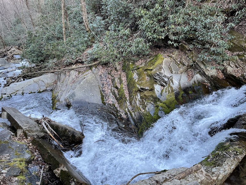 Catawba Falls: Nature's Cascade in Old Fort surrounding landscape