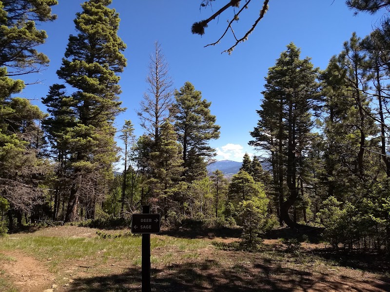 Angel Fire Valley Scenic Trailhead: Nature's Gateway in New Mexico surrounding landscape