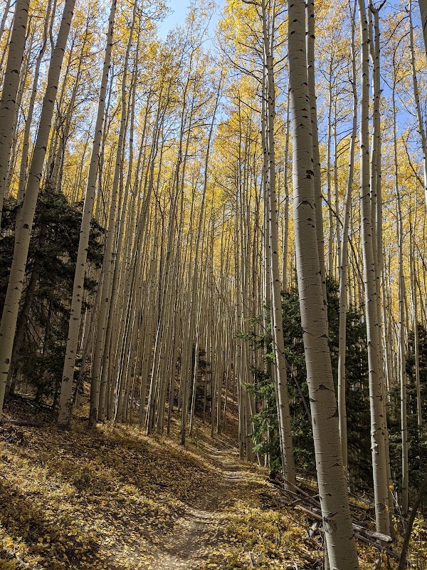 Hiking South Boundry Trail #164: A Journey Through Taos vantage point