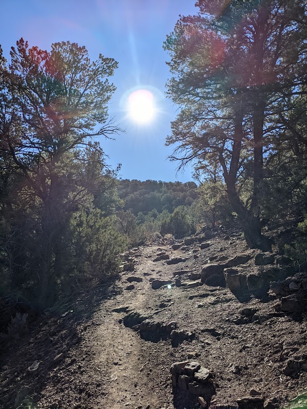 Hiking South Boundry Trail #164: A Journey Through Taos outdoor detail