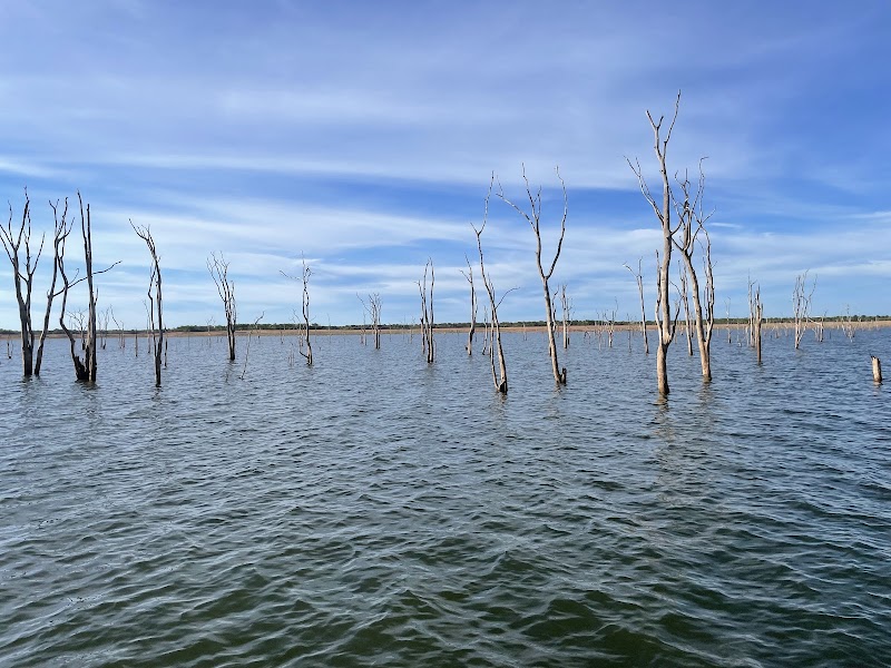 Wildlife Wonders at Matusadona National Park - Matusadona National Park