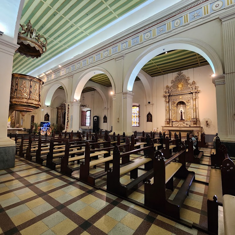 Majestic Melodies: Metropolitan Cathedral of Our Lady of the Assumption - Metropolitan Cathedral of Our Lady of the Assumption