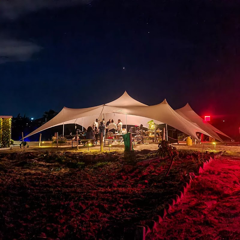 Stargazing at The Middle of Nowhere, Harare - The Middle of Nowhere