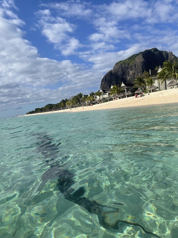 Seaside Serenity at Le Morne Public Beach - Le Morne Public Beach