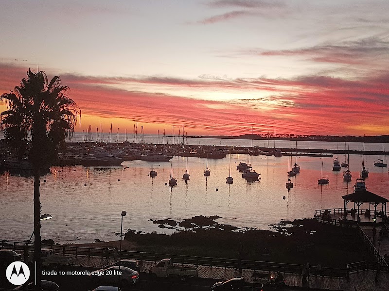Sailing at Puerto de Punta del Este - Puerto de Punta del Este