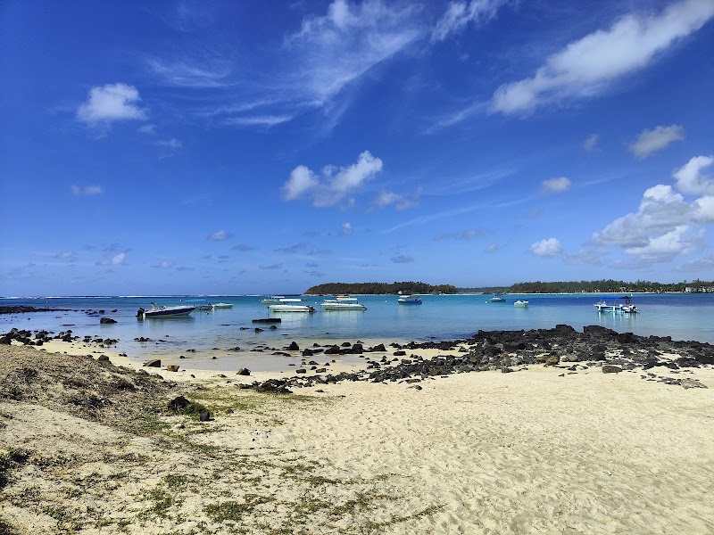 A Tropical Paradise: Discover Blue Bay Marine Park - Blue Bay Marine Park