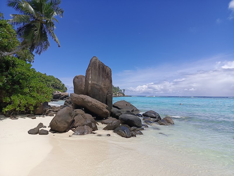 Tropical Bliss: Anse Royale Beach - Anse Royale Beach