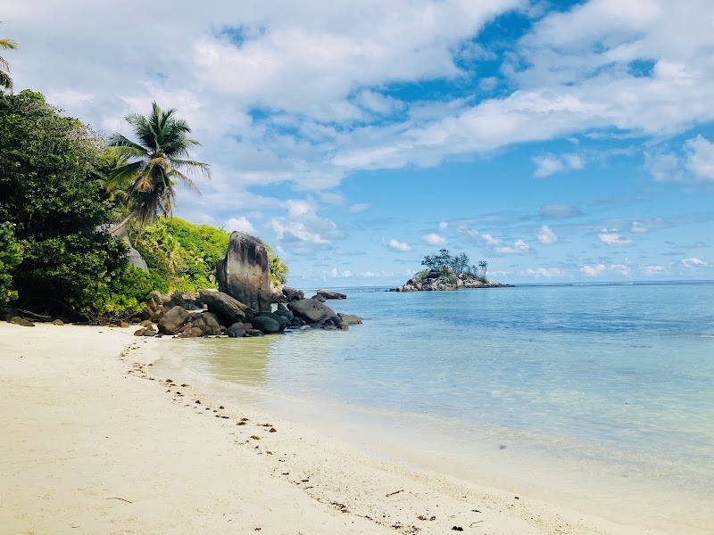 Tropical Bliss: Anse Royale Beach - Anse Royale Beach