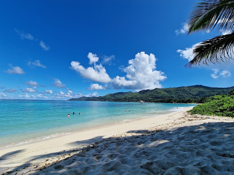 Tropical Bliss: Anse Royale Beach - Anse Royale Beach