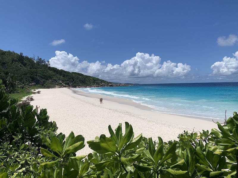 Idyllic Escape: Petite Anse Beach, Seychelles - Petite Anse Beach