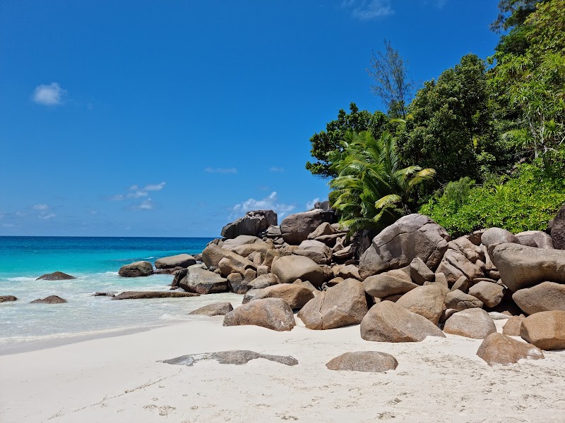 Paradise Found: Anse Georgette in Seychelles - Anse Georgette