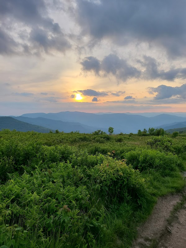Unforgettable Views at Black Balsam Knob outdoor detail
