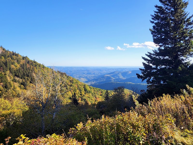 Unforgettable Views at Black Balsam Knob - Black Balsam Knob