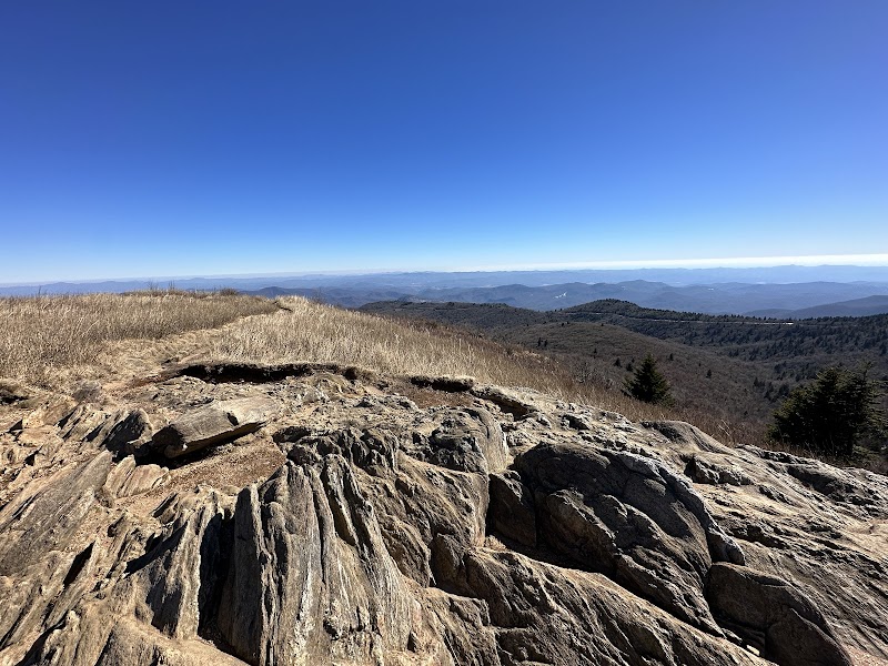 Unforgettable Views at Black Balsam Knob surrounding landscape