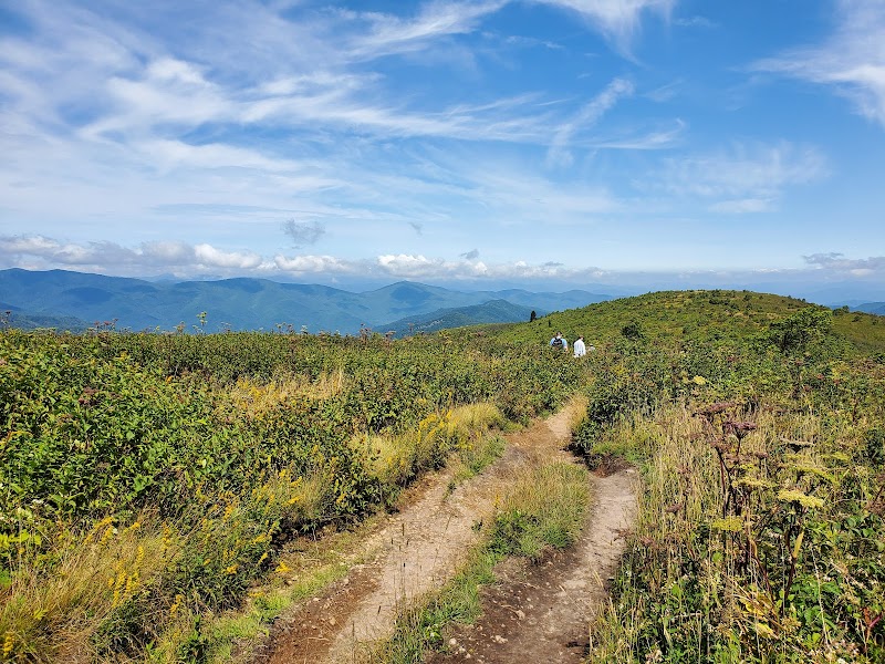 Unforgettable Views at Black Balsam Knob - Black Balsam Knob