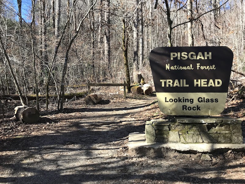 Hiking Looking Glass Rock in Pisgah National Forest - Looking Glass Rock Trailhead