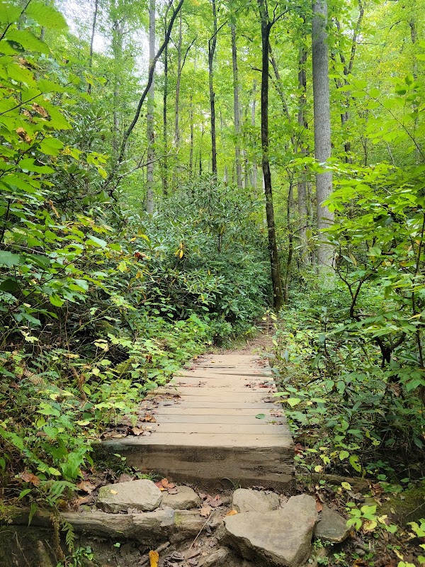 Hiking Looking Glass Rock in Pisgah National Forest - Looking Glass Rock Trailhead