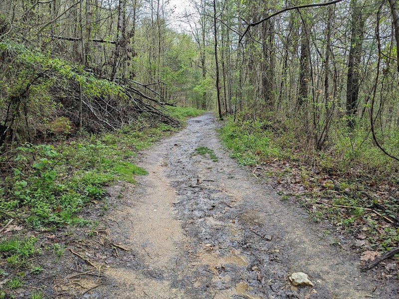 Hiking at Beaucatcher Trailhead surrounding landscape