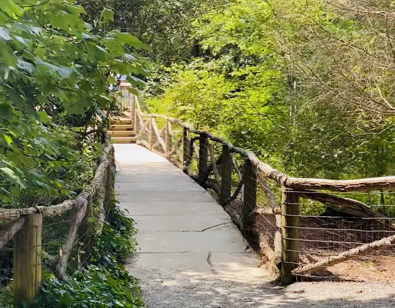 Waterfall Wonder: Biltmore's Hidden Gem surrounding landscape