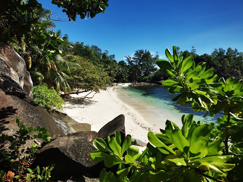 Beach Paradise: Butzel Beach, Seychelles - Butzel Beach