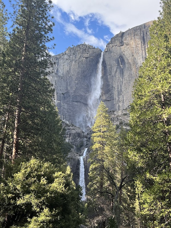 Waterfall Wonder: Yosemite Falls - Yosemite Falls