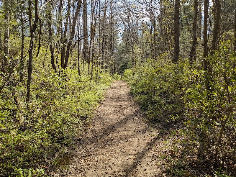 Nature's Trail in the Asheville Highlands - Blue Ridge Parkway Visitors Center - TRACK Trail