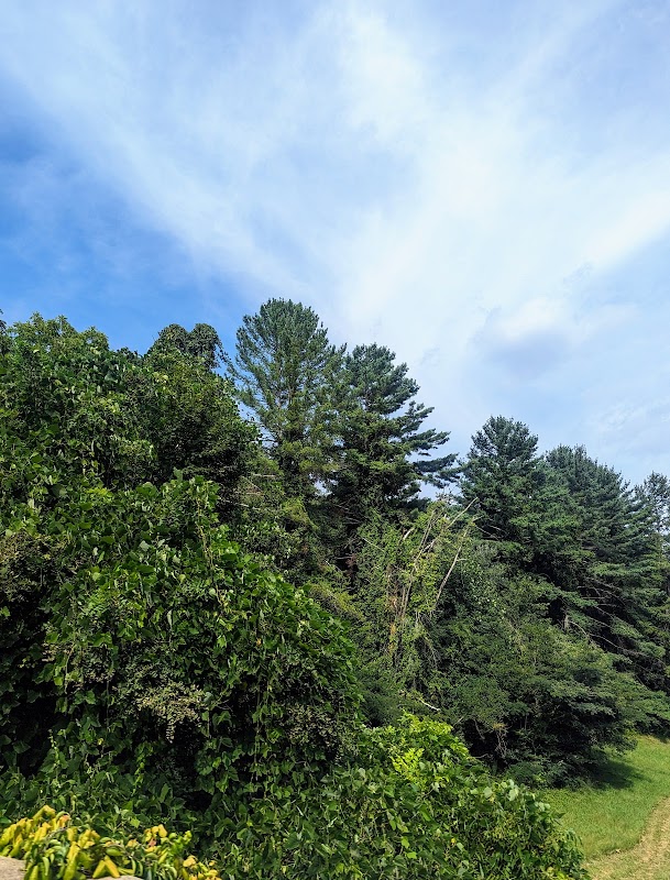Nature's Trail in the Asheville Highlands - Blue Ridge Parkway Visitors Center - TRACK Trail