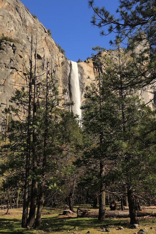 The Majestic Bridalveil Fall - Bridalveil Fall