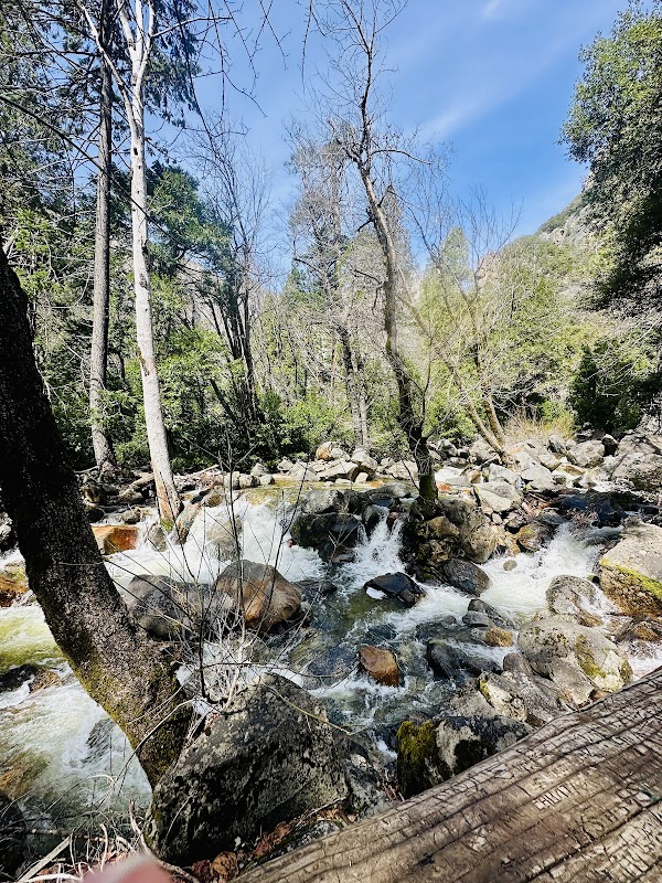 The Majestic Bridalveil Fall - Bridalveil Fall