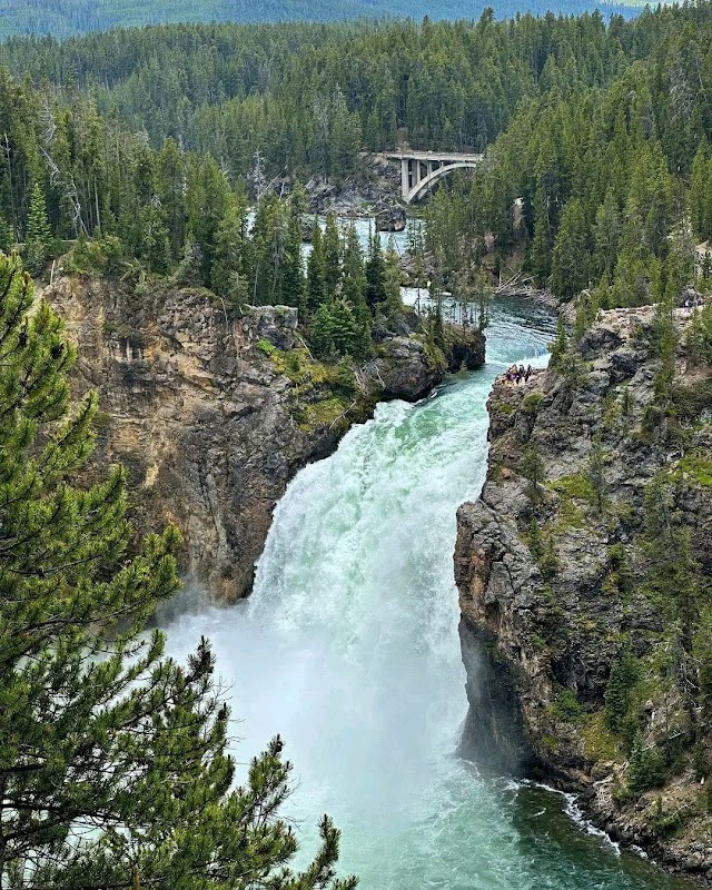Majestic Upper Falls in Yellowstone - Upper Falls of the Yellowstone River