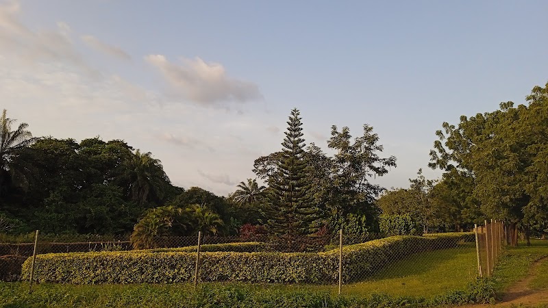 Nature's Retreat: Lautech Botanical Garden - Lautech Botanical Garden