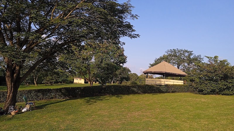 Nature's Retreat: Lautech Botanical Garden - Lautech Botanical Garden