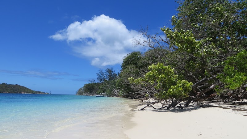 Tropical Tranquility at Anse Saint Jose - Anse Saint Jose