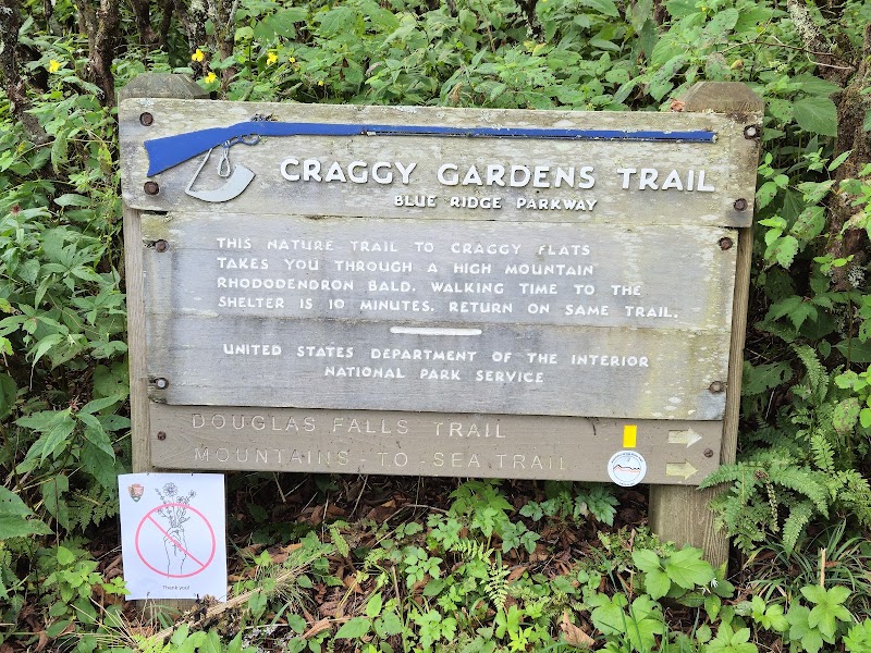 Discover the Charm of Craggy Gardens surrounding landscape