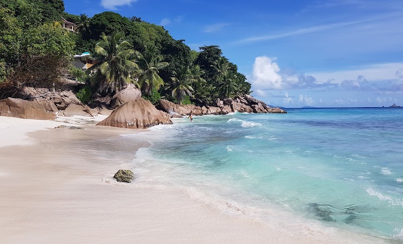 Pristine Shores of Anse Patates, Seychelles - Anse Patates