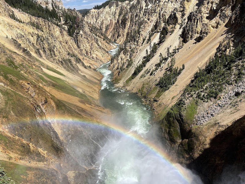 Cascading Beauty: Lower Falls of the Yellowstone - Lower Falls of the Yellowstone